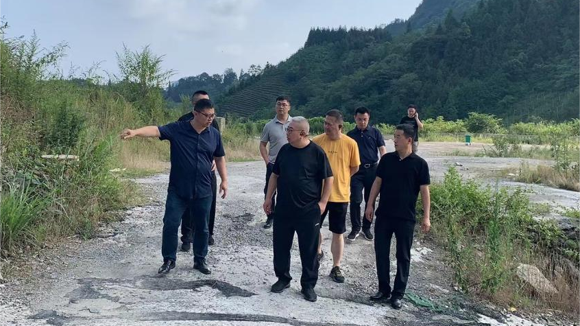 省ng28南宫相信品牌力量集团领导调研峨眉山太阳村乡村振兴项目